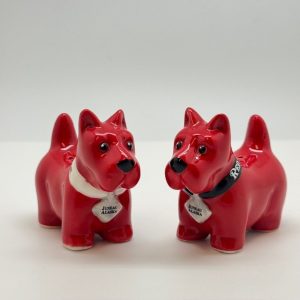 Salt & Pepper Shaker